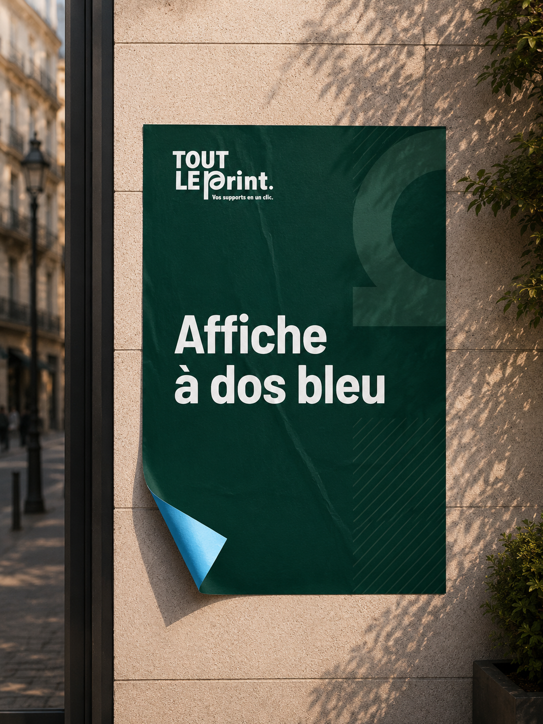 Affiches dos bleu